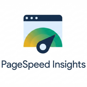Panel de Google PageSpeed mostrando 100 de puntuación y rendimiento web perfecto